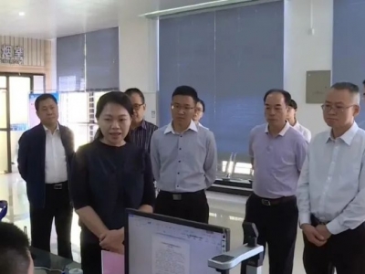 罗盛芬到丰顺调研乡镇街道体制改革和基层党建工作