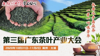 直播回顾丨长寿之乡嘉应茶，一芽一叶吐芳华！第三届广东茶叶产业大会今日开幕