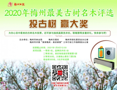 树木也有“选美”比赛！为你家门口的魅力古树投上一票吧~