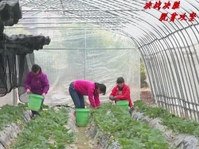 “农旅融合”带来“好钱景”！五华积极探索“三变+”模式扶贫新路径