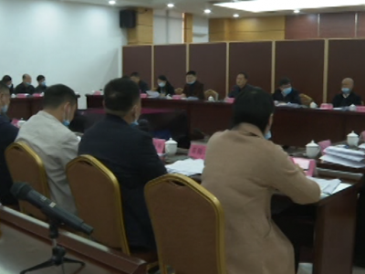 洪国华主持召开市政府党组（扩大）会议和常务会议  