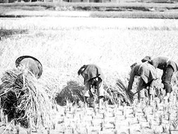 姚宇陶“赛社”诗里的客家妇女形象