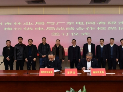 市林业局与梅州供电局“牵手”：深化林电合作 助推“线树”和谐