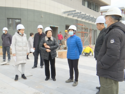 刘素芬、吴丽丽分别率队开展岁末年初安全检查