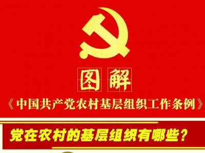 一图读懂基层组织工作条例！做好村(社区)“两委”换届选举
