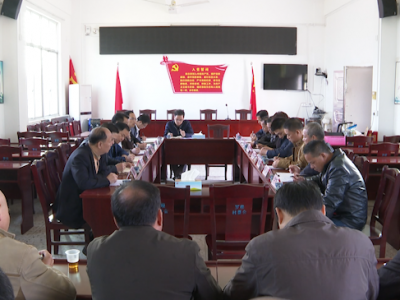 洪国华调研指导村级换届选举工作和重点项目建设