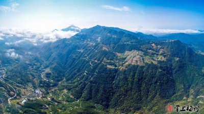 走进明山村, 聆听年轮下的往事岁月，收藏一份红色记忆！