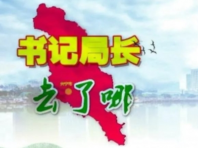 兴宁各镇党委书记、各局局长上周在忙什么？