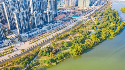 芹洋湿地公园升级改造后“颜值”飙升！这些变化太美了...