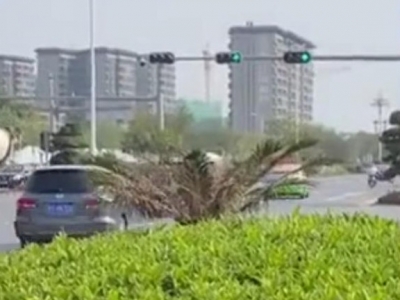 嗯？怎么走？这路口人行道和机动车道绿灯同时亮了...