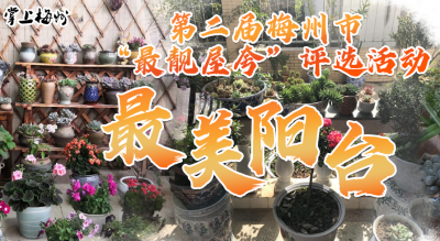 2020年第二届梅州市 “最靓屋夸”之“最美阳台”获奖作品欣赏