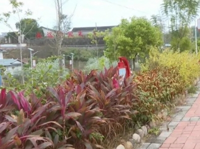 平远县中行镇持续提升乡村振兴的“美丽底色”