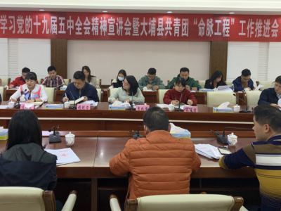 大埔县团县委召开学习党的十九届五中全会精神宣讲会暨大埔县共青团“命脉工程”工作推进会