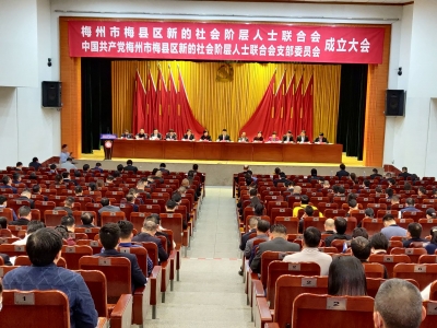 梅州实现县一级新阶联组织全覆盖：完善组织网络 充实统战力量