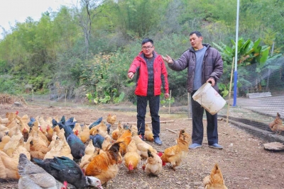 “村民的大事小情都是自家事”——记广州团市委驻梅县白渡悦来村第一书记林国康