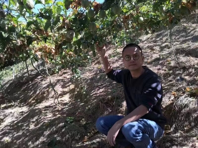 大埔80后青年返乡创业，带领村民种上“致富果”！