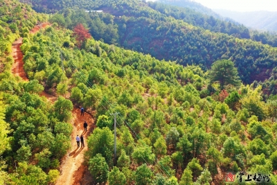 产业“造血”，一户一策！平远这里的对口帮扶见真招！