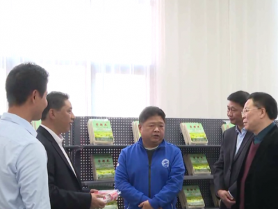 吴晖调研部分新竣工投产项目