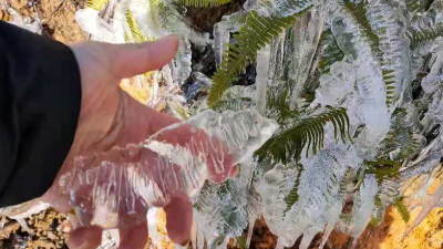 邂逅“冰雪奇缘”！丰顺八乡山迎来绝美雾凇，是冬天的味道没错了~