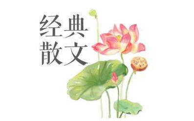 散文丨淡妆浓抹总相宜