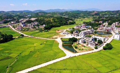 昔日撂荒地，今朝丰收田！五华打出系列“组合拳”推进撂荒水田复耕复种  