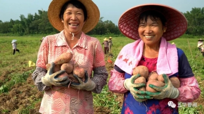 2020实“鼠”不易，2021“牛”转乾坤！