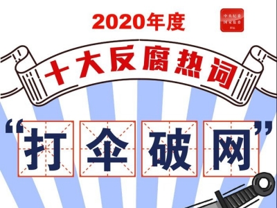 打伞破网、主动投案……2020年度十大反腐热词发布