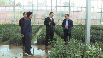 周小勇调研人居环境整治：做实做细考核迎检工作 持续推进人居环境整治