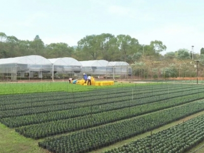 平远县长田官仁村入选全国“一村一品”示范镇村