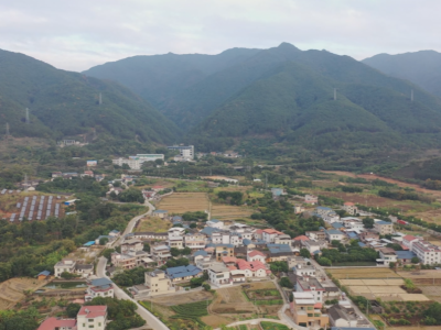 蕉岭华侨农场成立60周年！归侨之音：60年沧桑巨变 生活越过越好