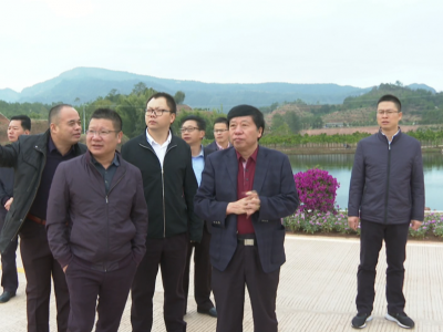 宋才华调研农房管控乡村风貌提升和重点项目建设工作