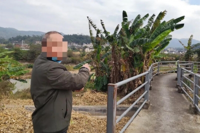 梅县一男子债务缠身，竟想靠“牛”还债，刑拘！