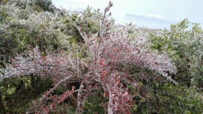 “跨年寒潮”今晚抵达，气温大跳水！梅州各部门这样部署防御...