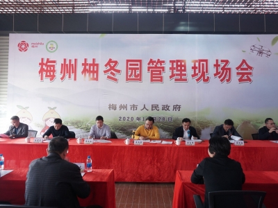 全市梅州柚冬园管理现场会召开：加强科学管理 促进提质增效