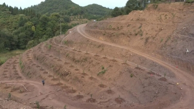 耕山致富正当时！平远长田的果农一起播种希望