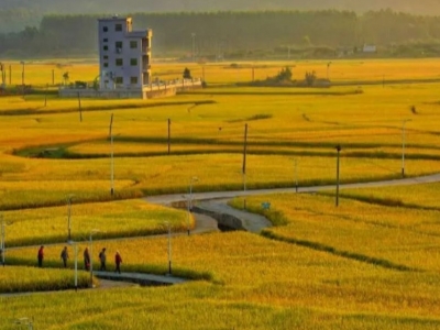 五华乡村游精品线路丨龙村镇