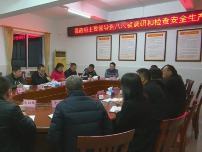 周小勇到八尺镇调研：筑牢安全生产防线，助推美丽乡村振兴发展