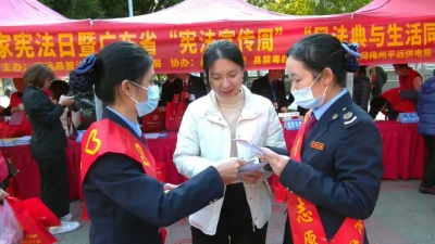 这些知识“宪”给你！平远县开展“国家宪法日”宣传咨询活动