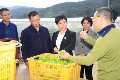 钟秀堂到城北镇调研现代农业产业园