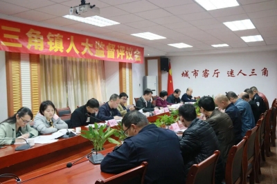 评议直面民生问题，给百姓满意答卷...三角镇人大主席团的问政真“犀利” 