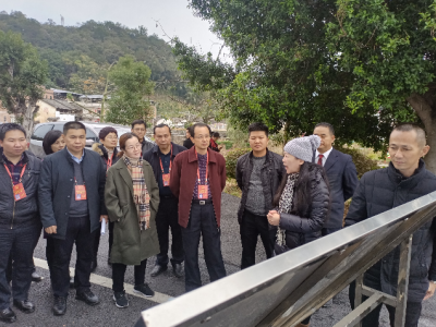 市人大梅江团代表开展视察活动