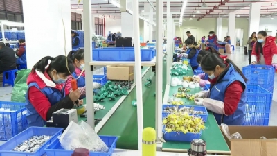 前11个月平远共签约17个项目，累计投资41.08亿元！