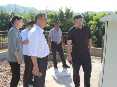 陈伟平、杨竹玲到百侯镇督导扶贫开发工作成效考核迎检和农村人居环境整治工作