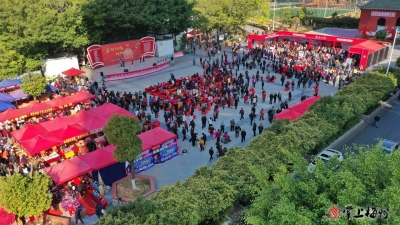 2021年第一场金山圩日来了！连续3天约定你！