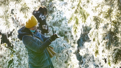 多图丨冰凌美景满枝头！冬日的平远县宛如人间仙境...