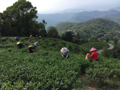 为扶贫“造血”！梅江区将“穷山岭”变“富土地”，百姓日子有奔头
