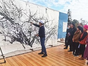 舞墨赏梅！梅州中国画学会组织画家与千年古梅“相约”