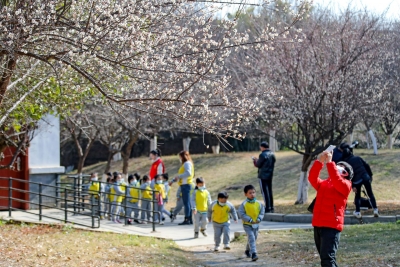 梅城第一波梅花已上线！快去公园里闻香寻梅吧~