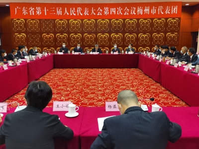 梅州代表团审议省政府工作报告 许瑞生林贻影陈敏张爱军等参加讨论
