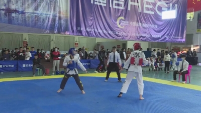 丰顺县第六届“中国体育彩票杯”少年儿童跆拳道公开赛在县文体公园举行